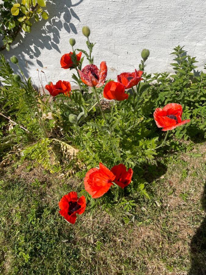 Kapelludden Oestra Oeland Villa Köpingsvik Eksteriør billede